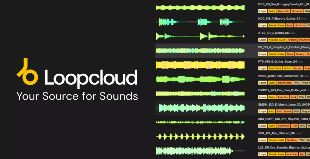 Loopcloud Loopcloud 3-Month Artist Plan